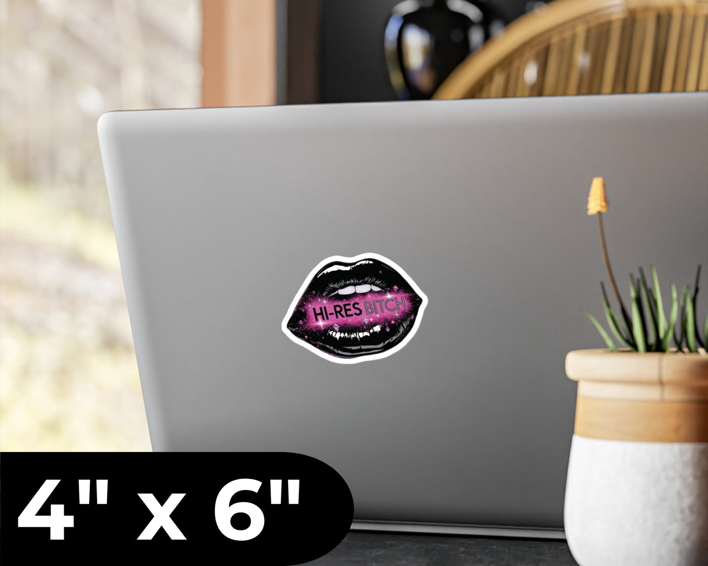 Hi-Res Bitch Vinyl Decal