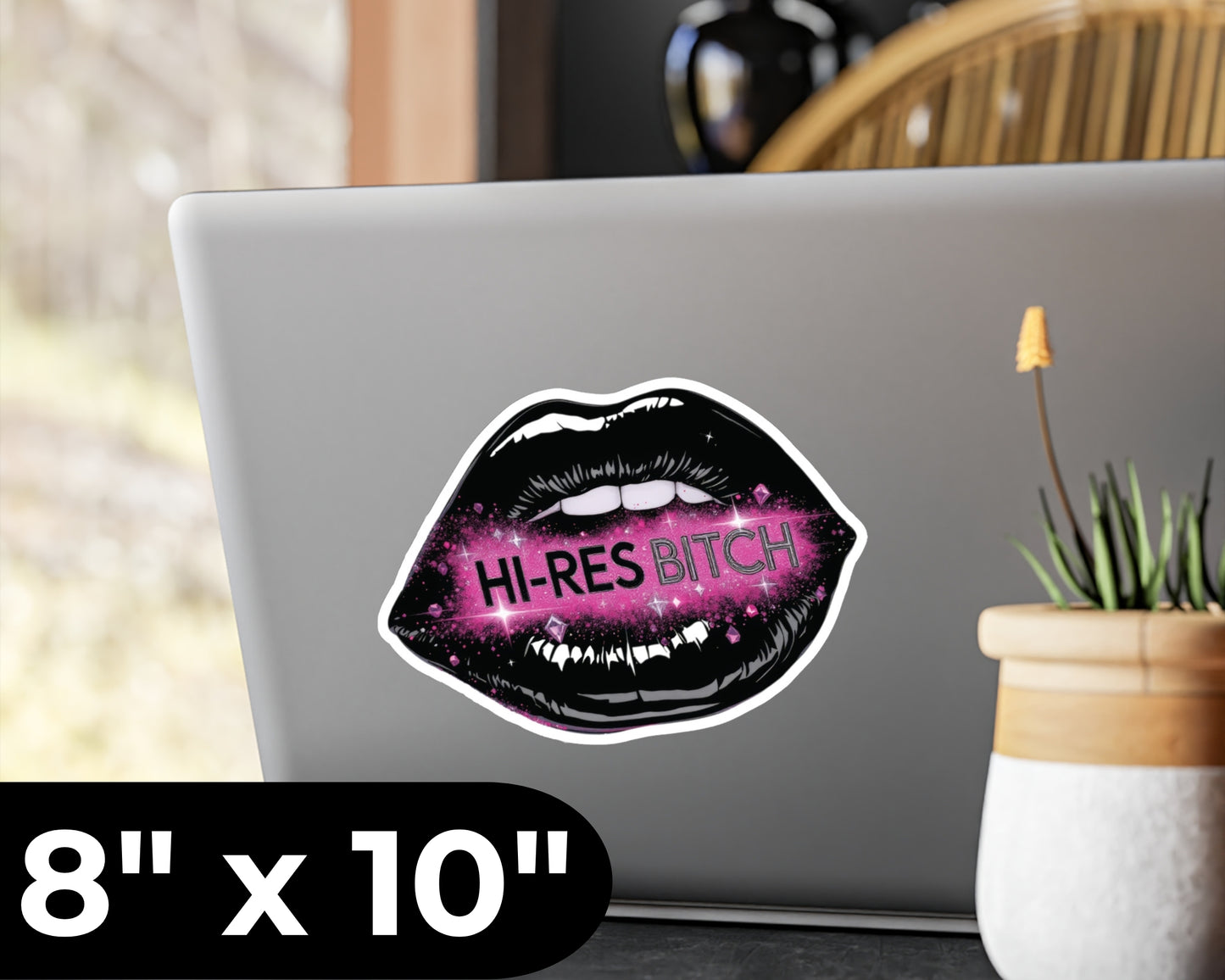 Hi-Res Bitch Vinyl Decal