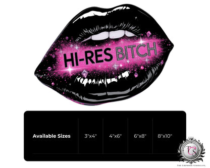 Hi-Res Bitch Vinyl Decal